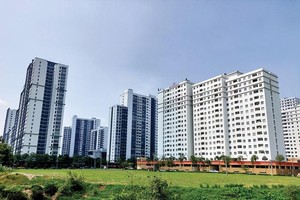 Hành vi thu chi của công nhập nhèm phổ biến ở các công ty công ích, vốn là những doanh nghiệp nhà nước được giao trọng trách quản lý, sử dụng tài sản nhà đất thuộc sở hữu nhà nước tại địa phương.