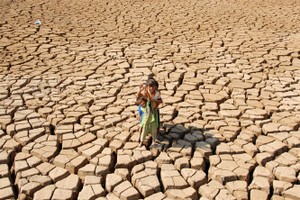 ADB hỗ trợ 14 tỷ USD giảm nhẹ khủng hoảng lương thực ở châu Á và Thái Bình Dương