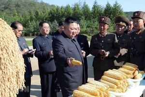 Nhà lãnh đạo Triều Tiên Kim Jong-un thị sát một nông trại thuộc đơn vị 810 của quân đội nhân dân Triều Tiên. (Ảnh: AFP/TTXVN)