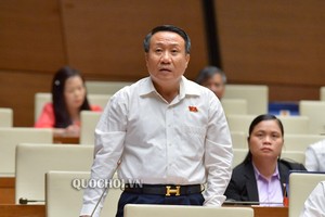 Tại kỳ họp thứ 8 cuối năm 2019, khi thảo luận dự án Luật Đầu tư (sửa đổi). nhiều đại biểu đề nghị không nên cấm kinh doanh dịch vụ đòi nợ.