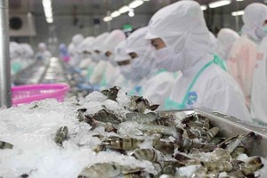 EVFTA dự kiến giúp xuất khẩu của Việt Nam sang EU tăng thêm khoảng 42,7% vào năm 2025 và 44,37% vào năm 2030 so với không có Hiệp định