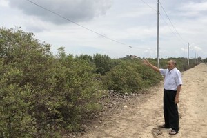 Ông Nguyễn Văn Tổng bên khu đất bị thu hồi chưa được bồi thường