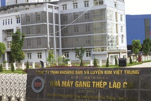 Phó thủ tướng Trương Hòa Bình đã trực tiếp chỉ đạo  phân nhóm đối với 12 dự án chậm tiến độ, kém hiệu quả ngành công thương và Phương án xử lý đối với 2 dự án thuộc Tổng công ty Thép Việt Nam.