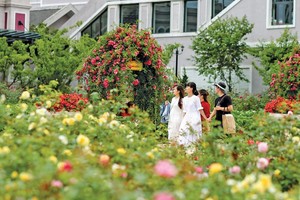 Đông đảo du khách tham quan khu du lịch Sun World Fansipan Legend (Sa Pa).