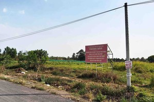 Tỉnh Đồng Nai yêu cầu kiểm tra, xử lý phân lô bán nền trái phép