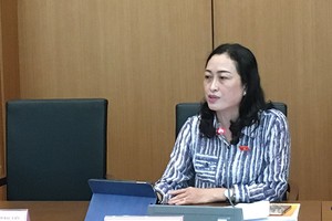 Đại biểu Trần Thị Hoa Ry (Bạc Liêu) phát biểu tại tổ - (Ảnh Mỹ An).