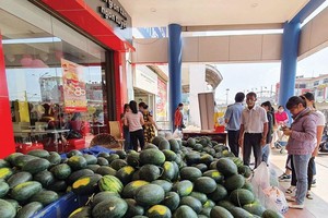 Bị áp thuế, hàng loạt doanh nghiệp giống nông nghiệp kêu cứu: VSTA quyết liệt phản biện hải quan