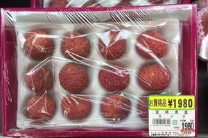 Ngày hôm nay 19/6, 1 tấn vải tươi đầu tiên sẽ được xuất khẩu sang Nhật Bản bằng đường hàng không.