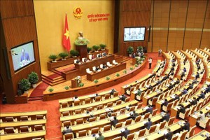 Kỳ họp thứ 9, Quốc hội khoá XIV đã bế mạc cuối tuần qua, sau 2 đợt họp trực tuyến và trực tiếp.