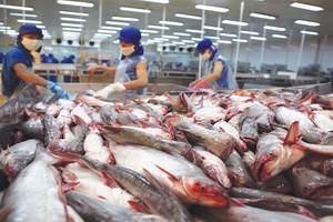 Hiệp định EVFTA có hiệu lực từ 1/8/2020 có thể sẽ là một “cú hích” cho xuất khẩu thủy sản Việt Nam trong những tháng cuối năm.
