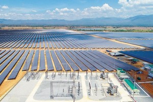 Cụm nhà máy điện mặt trời của BIM tại Ninh Thuận sản xuất khoảng 600 triệu kwh/năm, phục vụ gần 200.000 hộ dân, giảm thải gần 304.400 tấn CO2 mỗi năm.