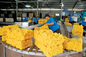 Theo Hiệp hội Các quốc gia sản xuất cao su thiên nhiên, năm 2020, thế giới sẽ chỉ tiêu thụ 12,84 triệu tấn cao su, giảm so với dự báo 13 triệu tấn đưa ra hồi tháng 4.
