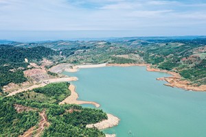 Một góc Dambri ở Bảo Lộc