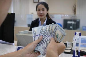 Kiều hối về TP.HCM đạt 3 tỷ USD trong 7 tháng đầu năm nay
