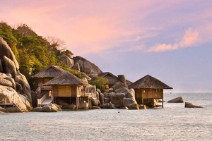 Khánh Hòa kiểm tra dự án làm trên rừng phòng hộ