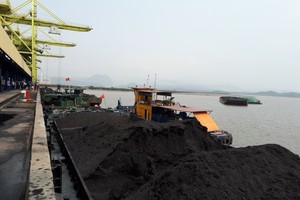 Nhập khẩu than đá trong 7 tháng 2020 đã lên tới 36,5 triệu tấn, trị giá gần 2,6 tỷ USD.
