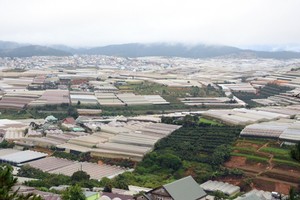 Lâm Đồng phát triển dựa trên định hướng công nghiệp chế biến nông, lâm, thủy sản, phân bón và sản xuất phân phối điện, khí đốt