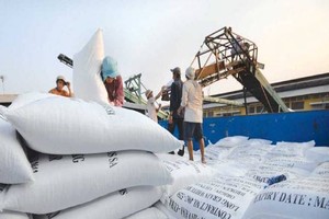 Tính đến tháng 8, mỗi tấn gạo trắng 5% tấm của Việt Nam xuất khẩu có giá cao hơn gạo Thái Lan cùng loại khoảng 15 USD.