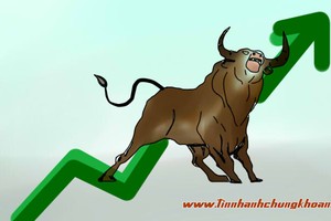 Phát triển bền vững, doanh nghiệp đã chuyển biến rõ ràng về nhận thức