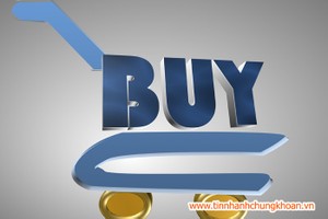 Khối ngoại mua ròng nhẹ trong phiên đầu năm