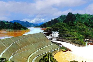 Sông Đà, Idico, Becamex Bình Dương chuẩn bị IPO