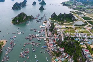 Kỳ vọng thể chế vượt trội cho “tổ phượng hoàng”
