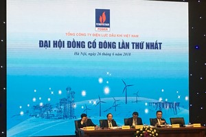 Đại hội đồng cổ đông PV Power: Ước lợi nhuận 6 tháng đạt 1.250 tỷ đồng