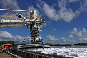    Đạm Cà Mau vững tin vượt sóng vì người nông dân Việt