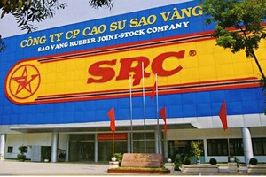 Cao su Sao Vàng (SRC): Lợi nhuận sau kiểm toán tăng 21% nhờ điều chỉnh chi phí thuế