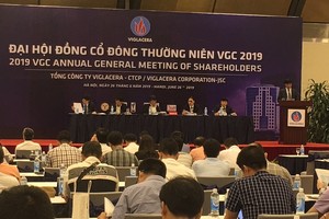 ĐHĐCĐ Viglacera: Công ty mẹ đã đạt 70% kế hoạch lợi nhuận năm