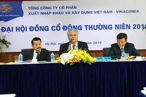 ĐHĐCĐ thường niên 2019 của Vinaconex căng như dây đàn