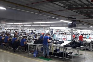 TNG báo lãi 81,2 tỷ đồng trong quý III, tăng 28% so với cùng kỳ