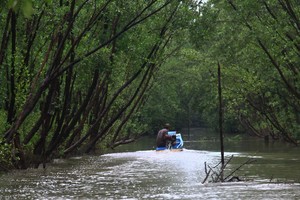 Ảnh: Thành Nguyễn.