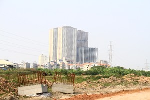 Trong cơn sốt đất nền, không ai biết chính xác mình sẽ là người cầm than cuối cùng. Ảnh: Thành Nguyễn.