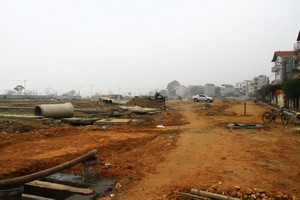 Ảnh: Thành Nguyễn.