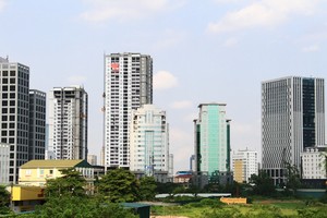 Ảnh: Thành Nguyễn.