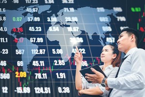 Các nhà đầu tư đang không được bảo vệ khi tham gia thị trường. Ảnh: Shutterstock.