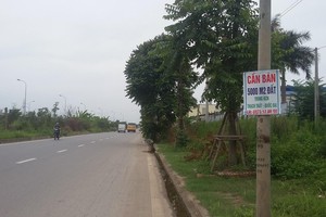 Nhiều địa phương diễn ra sốt đất cục bộ và có dấu hiệu làm giá từ các cò đất. Ảnh: Thành Nguyễn.