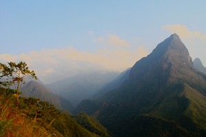 Ảnh: Thành Nguyễn.