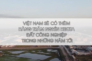 Sẽ có hàng trăm nghìn hecta đất làm khu công nghiệp trong những năm tới