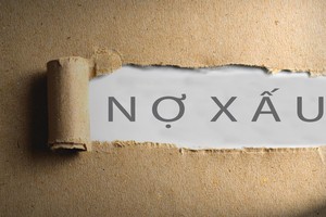 Ảnh: Shutterstock.