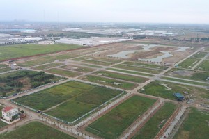 Giá đất nền vẫn tăng bất chấp mức độ quan tâm suy giảm. Ảnh: Dũng Minh.