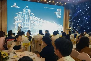 Imperia Grand Plaza Đức Hoà sẽ bổ sung nguồn cung thấp tầng cho thị trường Long An.
