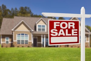 Ảnh: Shutterstock.