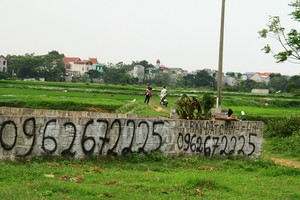 Phân khúc đất nền Hà Nội vẫn là kênh đầu tư yêu thích của nhiều người. Ảnh: Thành Nguyễn.