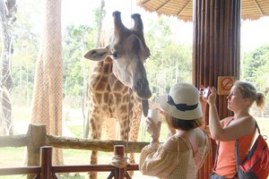 Phú Quốc chưa có nhiều sản phẩm du lịch độc đáo. Ảnh: Bình Minh.