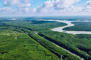 Cần Giờ có nhiều tiềm năng phát triển trong dài hạn. Ảnh: Internet.