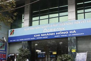 Cựu giám đốc chi nhánh của Agribank phát hành bảo lãnh cho hợp đồng khống?