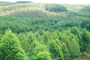 Chiêu lừa trích thưởng từ 500.000 - 1.000.000 đồng/ha đã hút khá nhiều người tham gia.