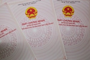 [Án lệ 04] Chồng ký tên bán đất, vợ đã đồng ý thì không có quyền đòi lại